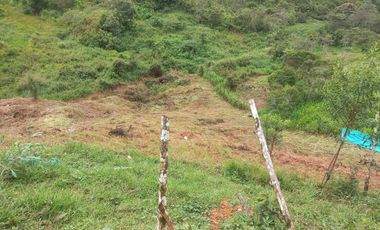 finca en venta en san roque. Cod V509434