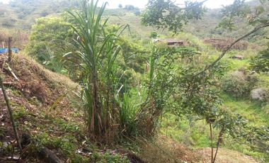 finca en venta en san roque. Cod V509434