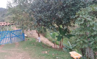 finca en venta en san roque. Cod V509434