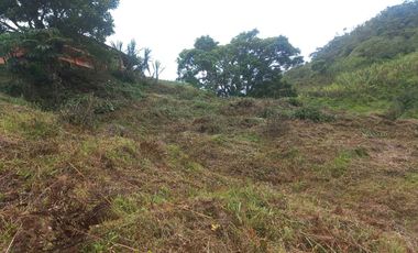 finca en venta en san roque. Cod V509434