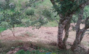 finca en venta en san roque. Cod V509434