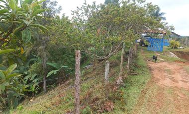 finca en venta en san roque. Cod V509434