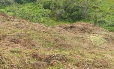 finca en venta en san roque. Cod V509434