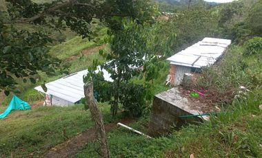 finca en venta en san roque. Cod V509434