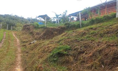 finca en venta en san roque. Cod V509434