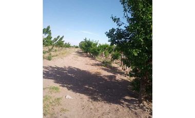 ¡OPORTUNIDAD ÚNICA! VENTA FINCA 5 HAS PHILLIPS, JUNN