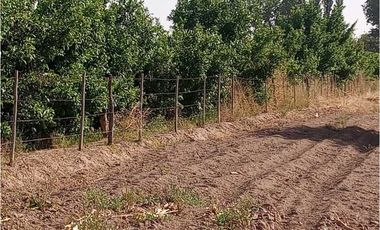 ¡OPORTUNIDAD ÚNICA! VENTA FINCA 5 HAS PHILLIPS, JUNN