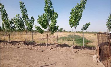 ¡OPORTUNIDAD ÚNICA! VENTA FINCA 5 HAS PHILLIPS, JUNN