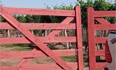 ¡OPORTUNIDAD ÚNICA! VENTA FINCA 5 HAS PHILLIPS, JUNN