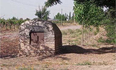 ¡OPORTUNIDAD ÚNICA! VENTA FINCA 5 HAS PHILLIPS, JUNN