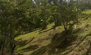 lote en venta en ruta del cafe. Cod V4454