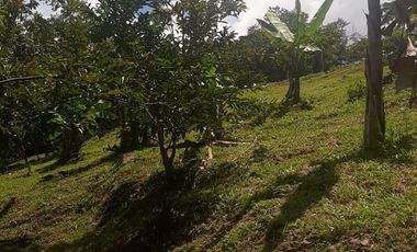 lote en venta en ruta del cafe. Cod V4454