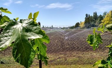 Terreno en batan