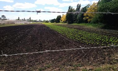 Terreno en batan