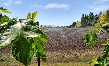 Terreno en batan