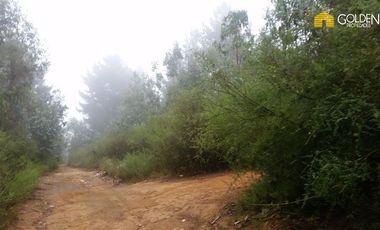 Terreno Construccion  en Venta en CAMINO LAGUNA VERDE RUTA 60