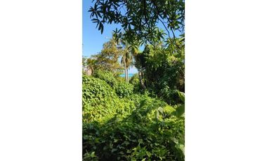 lote en venta en san andrés isla. Cod V8981496