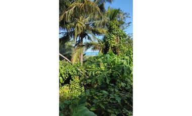 lote en venta en san andrés isla. Cod V8981496