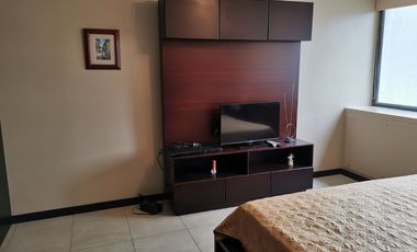 Suite de alquiler en Puerto Santa Ana, vista al río.