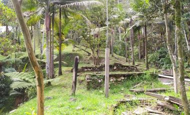 apartamento en venta en romeral. Cod V13614