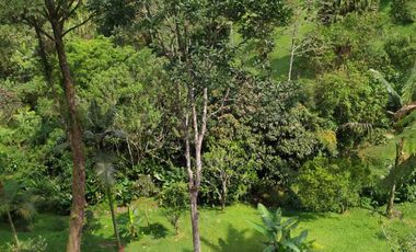 apartamento en venta en romeral. Cod V13614