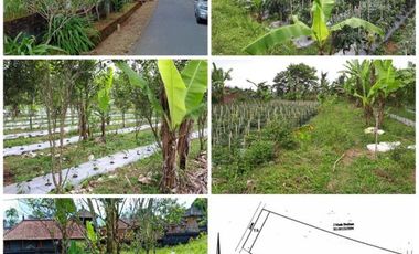 For sale Beautiful Square land in Kintamani, Bangli, dekat Ubud