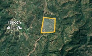 Terreno en  Venta entre la Autopista del Sol y la carretera federal a Acapulco