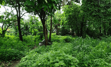 Tanah Kavling Bagus Dan Strategis Di Bintara Bekasi Barat