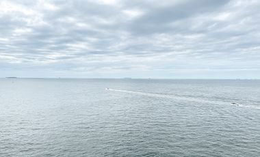 Apartemen Regatta The Icon