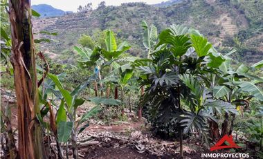 Finca cafetera a 10 min de Balboa, Risaralda