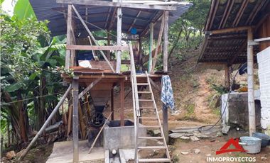 Finca cafetera a 10 min de Balboa, Risaralda