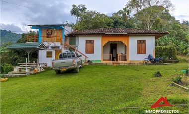 Finca cafetera a 10 min de Balboa, Risaralda