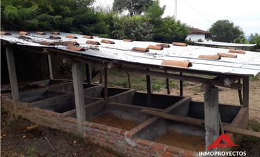Finca cafetera a 10 min de Balboa, Risaralda