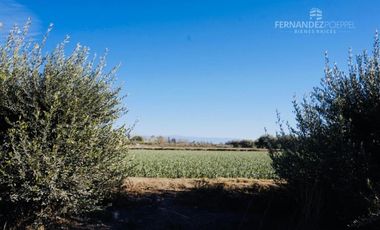 SE VENDE Lote 1700 m2 Fray Luis Beltran