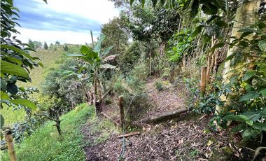 SE VENDE FINCA EN FILANDIA