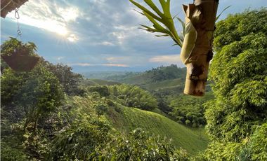 SE VENDE FINCA EN FILANDIA