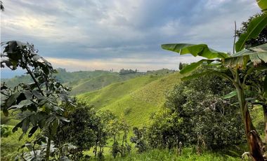 SE VENDE FINCA EN FILANDIA
