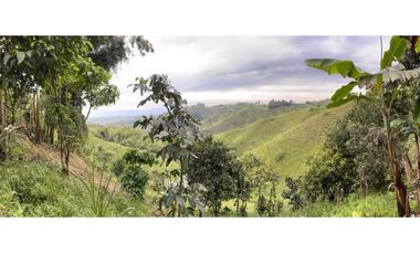 SE VENDE FINCA EN FILANDIA