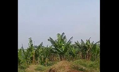 Dijual Tanah Komersial 2,5 Ha Di Batujajar Bandung Barat