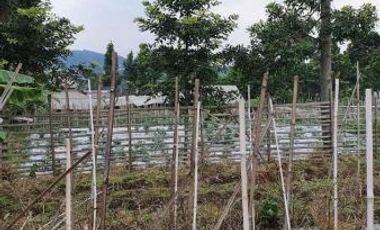 Tanah Kebun View Cantik Siap Pakai Jayagiri Lembang Bandung Barat