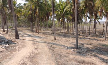 TERRENO EN VENTA EN COSTALEGRE, JALISCO / PLAYA CHAMELA