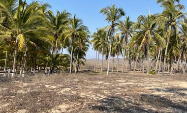 TERRENO EN VENTA EN COSTALEGRE, JALISCO / PLAYA CHAMELA