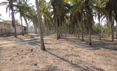 TERRENO EN VENTA EN COSTALEGRE, JALISCO / PLAYA CHAMELA