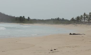 TERRENO EN VENTA EN COSTALEGRE, JALISCO / PLAYA CHAMELA