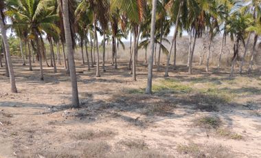 TERRENO EN VENTA EN COSTALEGRE, JALISCO / PLAYA CHAMELA