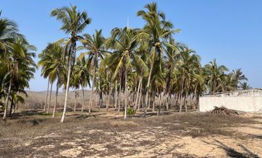 TERRENO EN VENTA EN COSTALEGRE, JALISCO / PLAYA CHAMELA