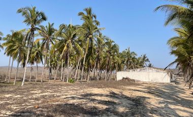 TERRENO EN VENTA EN COSTALEGRE, JALISCO / PLAYA CHAMELA