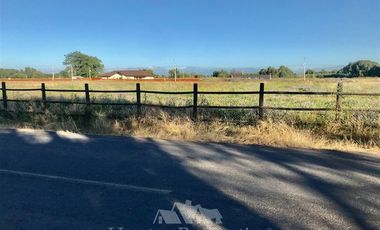 Sitio en Venta en por ruta CH Talca - San Clemente , entrar por camino antes del reten el Sauce y seguir 3 Kilómetros al sur