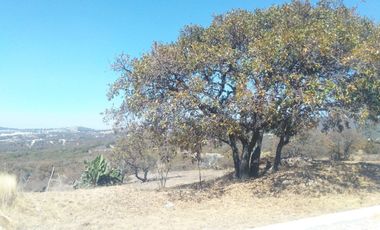 Venta de lotes en Haras del Bosque, zona Acres
