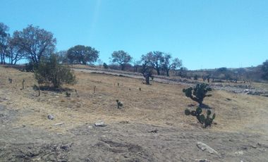 Venta de lotes en Haras del Bosque, zona Acres